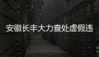 安徽長豐大力查處虛假違法房地產廣告