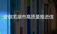 安徽蕪湖市高質量推進信用修復優化營商環境