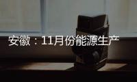 安徽：11月份能源生產保持增長 能源消費創新高