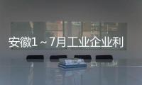 安徽1～7月工業(yè)企業(yè)利潤增17.1%%