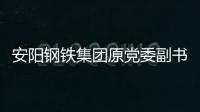 安陽鋼鐵集團(tuán)原黨委副書記、總經(jīng)理、副董事長劉潤生被查