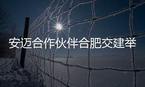 安邁合作伙伴合肥交建舉辦技術交流會，探討智能、安全與可持續發展