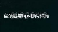 宮頸癌與hpv哪兩種病毒關(guān)系最大與宮頸癌與hpv健康知識的原因