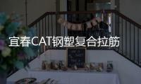 宜春CAT鋼塑復合拉筋帶性能說明