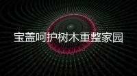 寶蓋呵護樹木重整家園