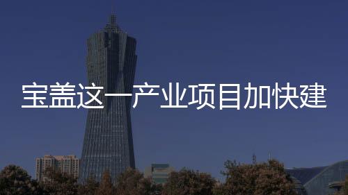 寶蓋這一產業項目加快建設