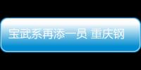 寶武系再添一員 重慶鋼鐵正式易主中國寶武