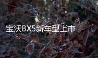 寶沃BX5新車型上市 售價(jià)16.98