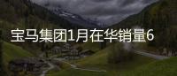 寶馬集團1月在華銷量6.3萬輛 同比增長15.5%