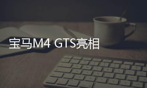 寶馬M4 GTS亮相 賽道版跑車(chē)/限量700臺(tái)