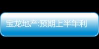 寶龍地產(chǎn):預(yù)期上半年利潤(rùn)約12