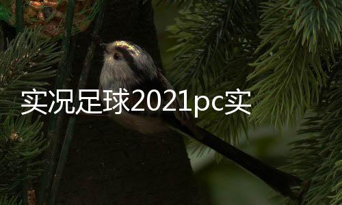 實況足球2021pc實況足球顯卡韓國國家男子足球隊