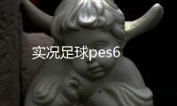 實(shí)況足球pes6