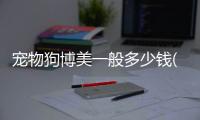 寵物狗博美一般多少錢(寵物狗博美怎么養(yǎng))