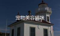 寵物美容貓咪
