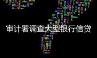 審計署調查大型銀行信貸資金流向