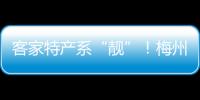 客家特產(chǎn)系“靚”！梅州柚、嘉應(yīng)茶、客都米、平遠橙亮相全國網(wǎng)上年貨節(jié)