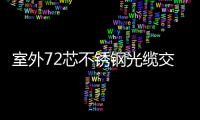 室外72芯不銹鋼光纜交接箱