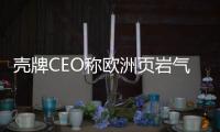 殼牌CEO稱歐洲頁巖氣開發(fā)受限