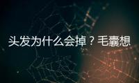 頭發為什么會掉？毛囊想休息了