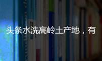 頭條水洗高嶺土產地，有關河池水洗高嶺土應用范圍的詳情