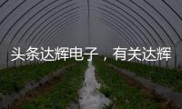 頭條達輝電子，有關達輝科技軟件如何注銷公司的詳情