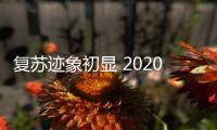 復(fù)蘇跡象初顯 2020年上半年國(guó)內(nèi)車市銷量點(diǎn)評(píng)