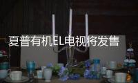 夏普有機EL電視將發售：10億多種可示色彩