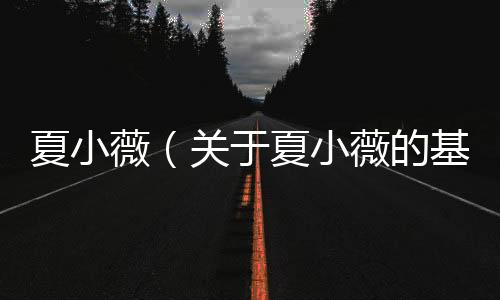 夏小薇（關于夏小薇的基本情況說明介紹）