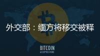 外交部：緬方將移交被釋放的155名中國伐木人員
