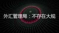 外匯管理局：不存在大規模資金外逃 “肉還在鍋里”
