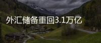 外匯儲(chǔ)備重回3.1萬(wàn)億美元以上 5月新增約61億美元