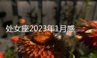 處女座2023年1月感情運勢 2023年1月處女座感情運程詳解