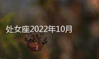 處女座2022年10月感情運勢運程 2022年10月處女座感情運勢詳解