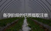 備孕階段的鈣質攝取注意事項及揭秘備孕階段的鈣質攝入誤區