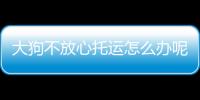 大狗不放心托運怎么辦呢(大狗不放心托運怎么辦呀)