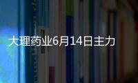 大理藥業(yè)6月14日主力資金凈賣出619.76萬元