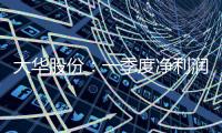 大華股份：一季度凈利潤5.61億元 同比增長13.26%