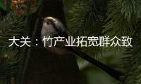 大關(guān)：竹產(chǎn)業(yè)拓寬群眾致富路