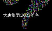 大唐集團:2021年凈利潤約為10.3億元,同比增長8%