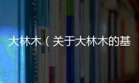 大林木（關于大林木的基本情況說明介紹）