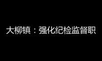 大柳鎮：強化紀檢監督職能 優化基層政治生態_