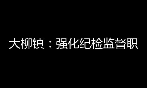 大柳鎮：強化紀檢監督職能 優化基層政治生態_