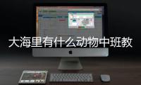 大海里有什么動物中班教案（大海里有什么動物）