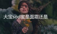 大寶sod蜜是面霜還是乳液 大寶sod蜜的使用方法