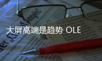 大屏高端是趨勢 OLED已開始實現主流化