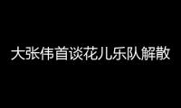 大張偉首談花兒樂隊解散：我不敢怎么他們！