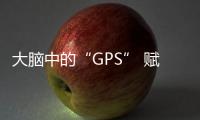 大腦中的“GPS” 賦予高級空間感知能力—新聞—科學(xué)網(wǎng)