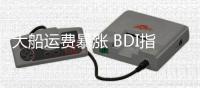 大船運費暴漲 BDI指數繼續走高