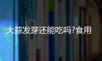 大蒜發芽還能吃嗎?食用后竟會產生這些意想不到的現象